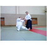 kote_mawashi.jpg
